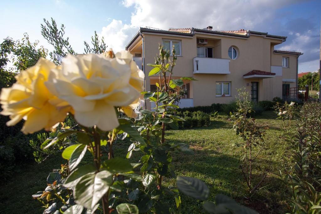 Apartments Emma Biograd Na Moru Exterior photo
